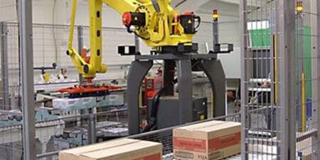 A pallet robot assembling products on a conveyor belt in a factory.