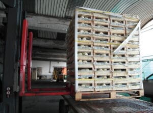 Extending forks unloading a large pallet from a metal rack with extra room to spare on the forks.