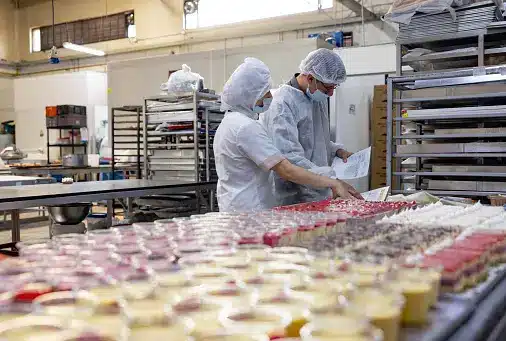 Food processing image two workers checking safety on assembly line