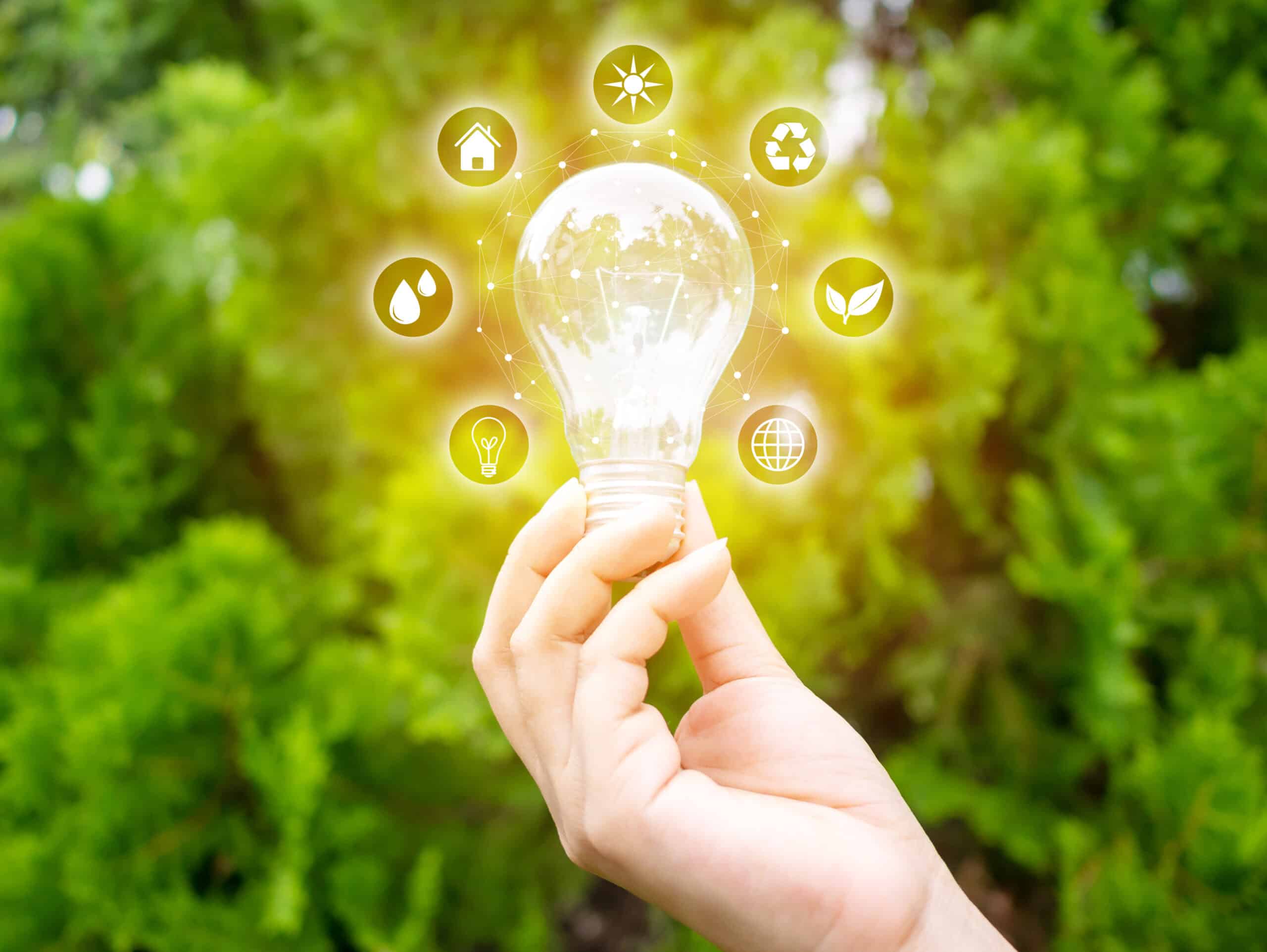 Hand holding lightbulb with sustainability symbols floating around it against a blurred background of green trees.