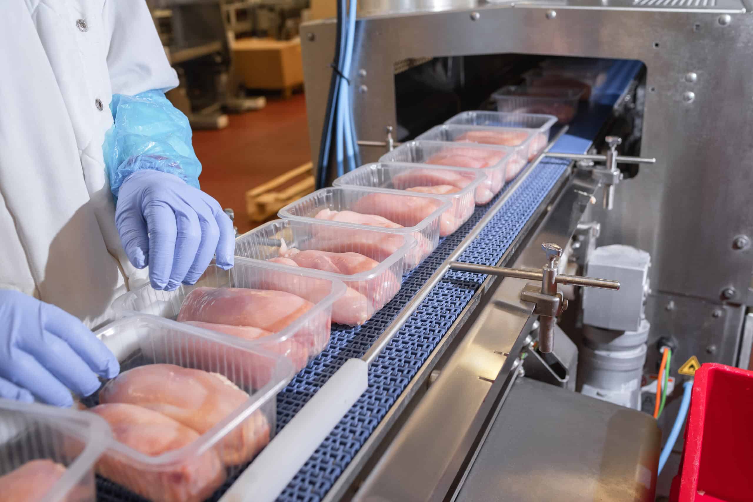 Quality inspection in a food processing plant where a worker in protective clothing checks packaged chicken breasts on a conveyor belt.