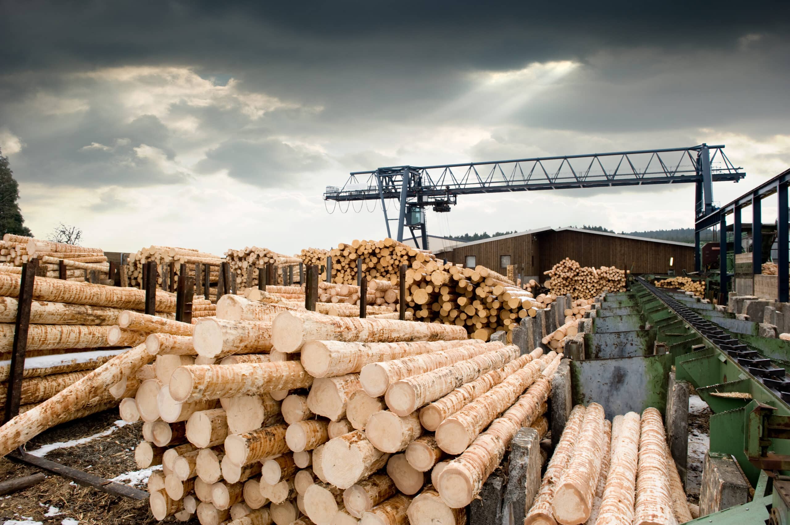 A lumber mill under a brooding sky, with stacks of freshly cut logs ready for processing.