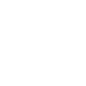 Icon for live camera images