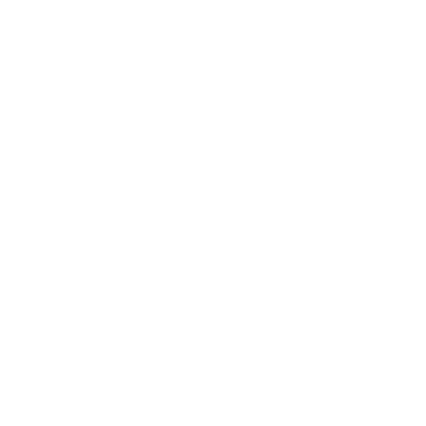 Icon for live camera images