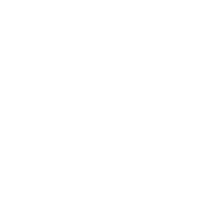 Icon for maintenance and service