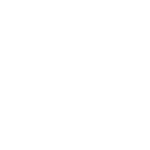 Icon for safety notification or alerts
