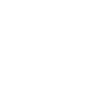 Icon for graph or statistics